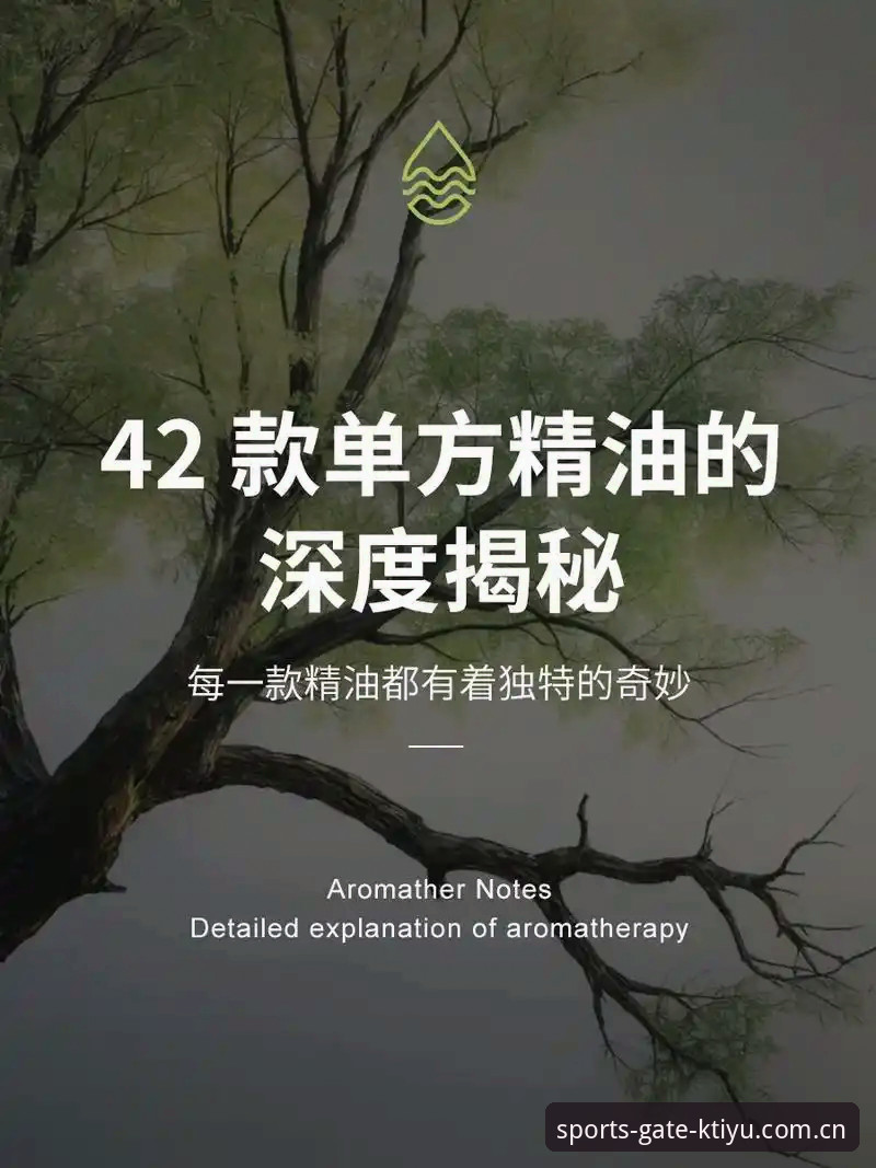 深度揭秘K体育安卓版评测：实测数据、安装细节与用户真实反馈